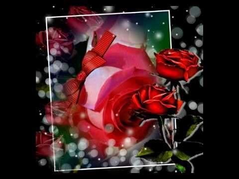 los rehenes te menti