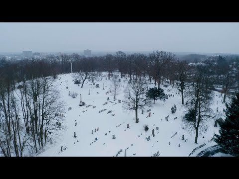 VIGGIE VERSACE X OT FELLA  X LUCY  ROSE - RICARDO PARKER/MY GANG