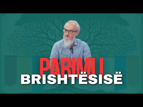 41. Rudian Zekthi — Parimi i brishtësisë