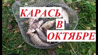Когда в октябре клюет карась вечером