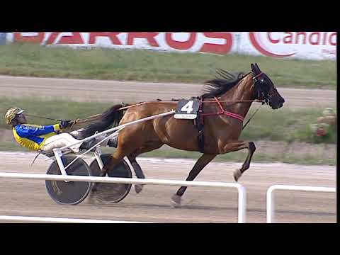 Napoli Trotto 08/09/2023 - 5ª corsa