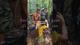 Download lagu bertemu suku dayak kalimantan di jalur pendakian #pendaki #pendakigunung #hutan mp3 Download lagu bertemu suku dayak kalimantan di jalur pendakian #pendaki #pendakigunung #hutan mp3