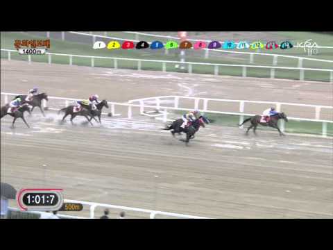 Munhwa Ilbo Cup 2013 - Gwanggyo Bisang