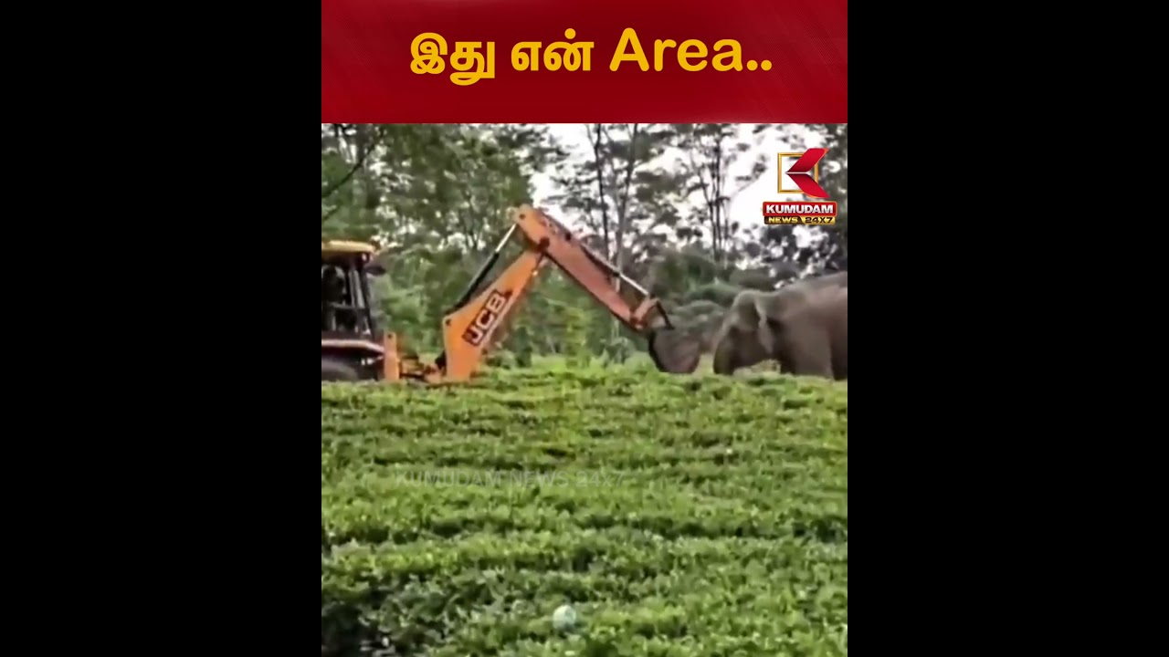 என் வீடு, என் காடு, இங்கிருந்து வெளியேறு.. மனிதர்களுக்கு பாடம் புகட்டும் யானை | Assam JCB Elephant