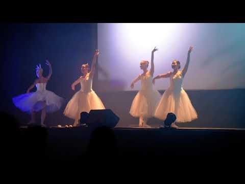 Promotional video thumbnail 5 for Bishop Street Ballet