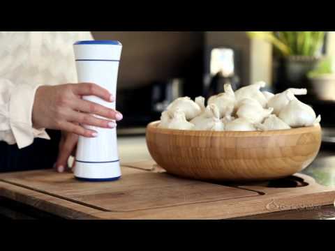 download lagu mp3 mp4 Garlic Shaker, download lagu Garlic Shaker gratis, unduh video klip Garlic Shaker