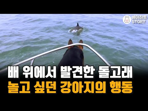 아이콘