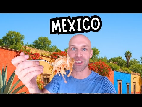 I Investigated Mexico's Food Capital 🇲🇽 Oaxaca City