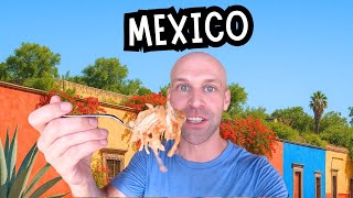 I Investigated Mexico's Food Capital 🇲🇽 Oaxaca City