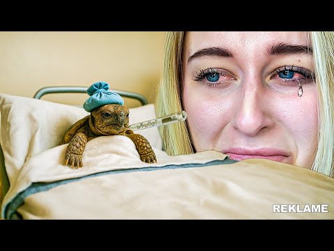 Vores Skildpadde Er MEGET Syg