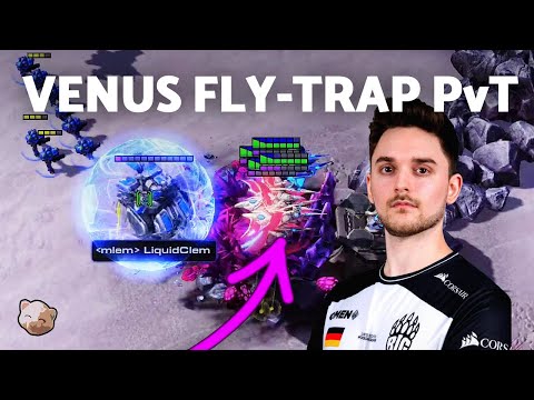 StarCraft 2 - SHOWTIME’S PHOENIX CHARGE ARCHON PvT | Clem vs Showtime (Bo5)