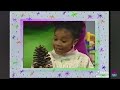Falling For Autumn Credits PBS