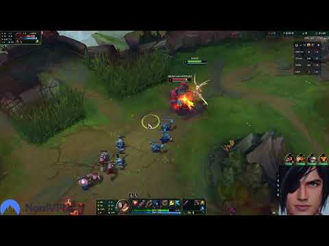 Drututt Met the Smartest Ornn Player