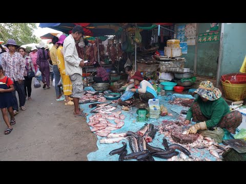 Morning Countryside Food Market Scene - Morning Daily LifeStyle of Vendors & Buyer in Phsa Oudoung