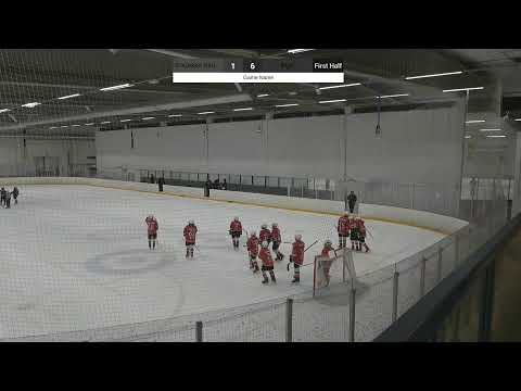 Pips-S-Kiekko sininen