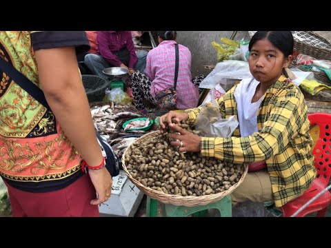 Cambodian Market Scene Compilation For Local People  / Various Kinds Of Cheap Fishes For Sales In Lo
