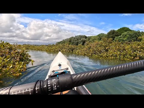 Paddling in the mangroves with the Epic surfski V10L