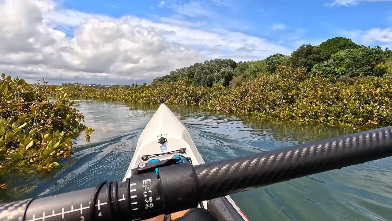 Paddling in the mangroves with the Epic surfski V10L