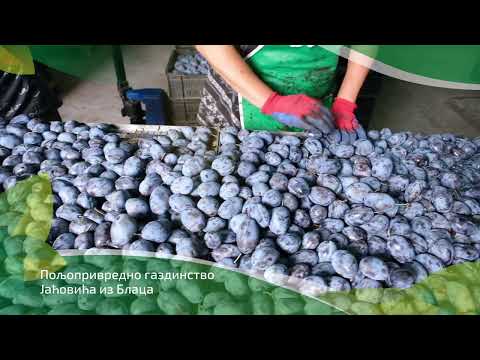 Složno, uspešno! ep. 131 20.09.2022. NAJAVA