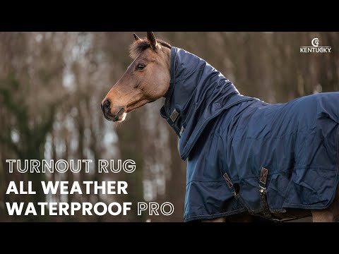 Turnout Rug All Weather Waterproof Pro | Kentucky Horsewear