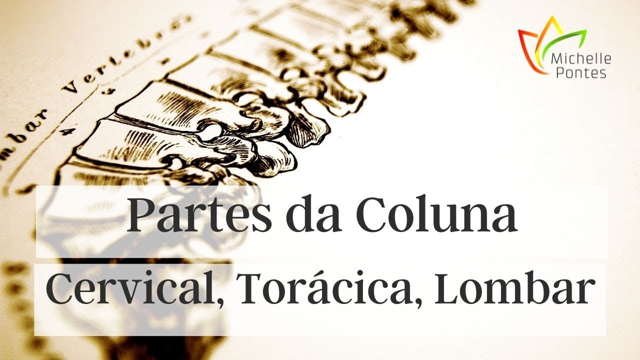 Cervical, Torácica, Lombar: localizando cada parte da Coluna!