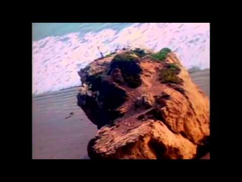 Deborah Blando - Innocence [Vídeo Oficial]