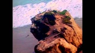 Deborah Blando - Innocence [Vídeo Oficial]