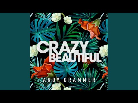 Crazy Beautiful