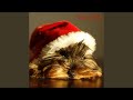 Santa Dog