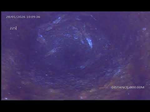 Extracto 225 - Angaco - San Juan