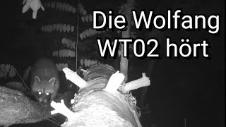 Die Wildkamera Wolfang WT02 hat nach dem Umbau auch Ton