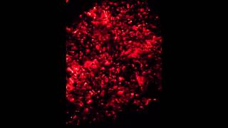 Ashes to ashes - Dust to dust!