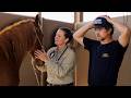 What S Wrong With Our Horse Heavy Ranching 22