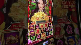 $480 MAX BET BONUS Goes WILD #gambling #casino #slots