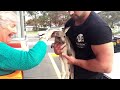 Video 'Pet Kangaroo'