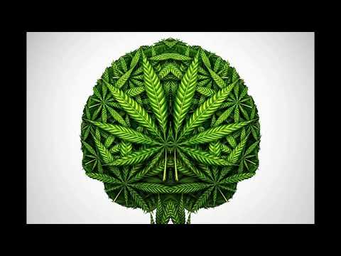 [FREE] Nekfeu X Niska Type Beat | Instru Rap Trap 2022 | (@Prod.Zoulou)