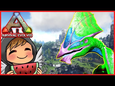 THIS IS HOW YOU TAME A TAPEJARA! Ark Shorts