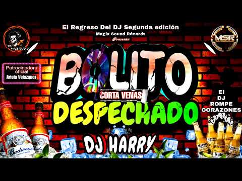 Bolito Corta Vena Despechado🍺🤒 Dj Harry👑-(El Regreso Del DJ Vol.2)-💽Magix Sound Records💽🎶