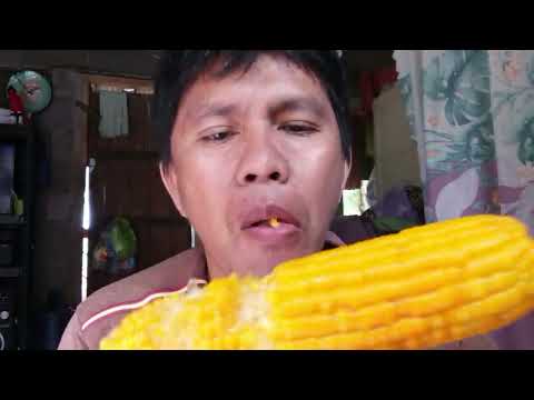 ngano diay tag mais lods!