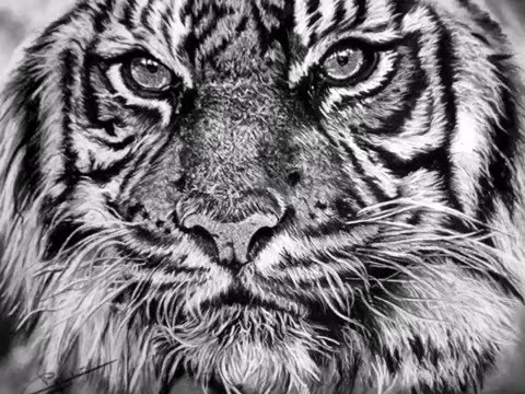 GALERIE DES ARTISTES REUNIS