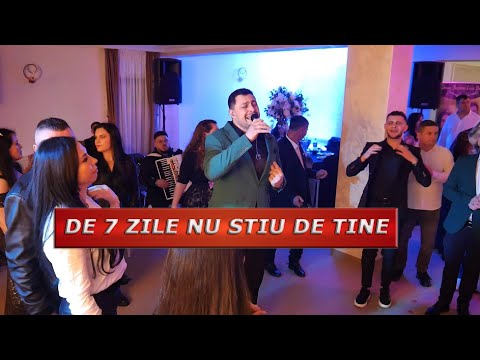 Dane Bogdan Live Band - De 7 zile nu stiu de tine ( LIVE 2026 )