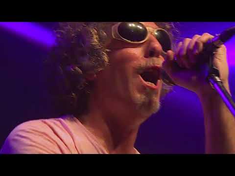 PINAMAR X DEAD MeNeMS