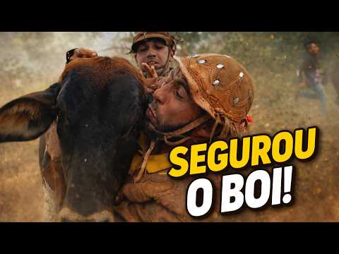 PEGA DE BOI PÉ DE PORTEIRA -  FAZENDA MELOSA, SERRITA-PE