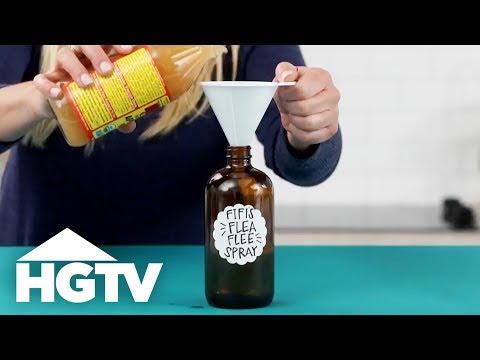 10 Ways to Use Apple Cider Vinegar | HGTV