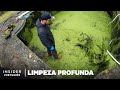Limpeza Profissional De Fundos De Piscinas Limpeza Profunda Insider Português