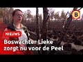 Boswachter Lieke loopt door de afgebrande Peel: ‘Over een paar weken is het weer een beetje groen’