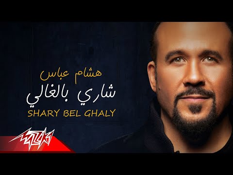 Hisham Abbas Shary Belghaly