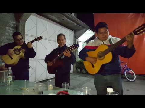 Tardes De Bohemia/Trio  - El Gran Bohemio
