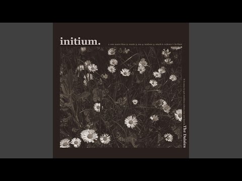 Echoes - The Daisies