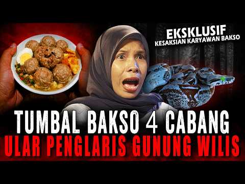 BAKSONYA LAKU KERAS, MOBIL CRV & ALPHARD BELI CASH !! PESUGIHAN SILUMAN ULAR GUNUNG WILIS